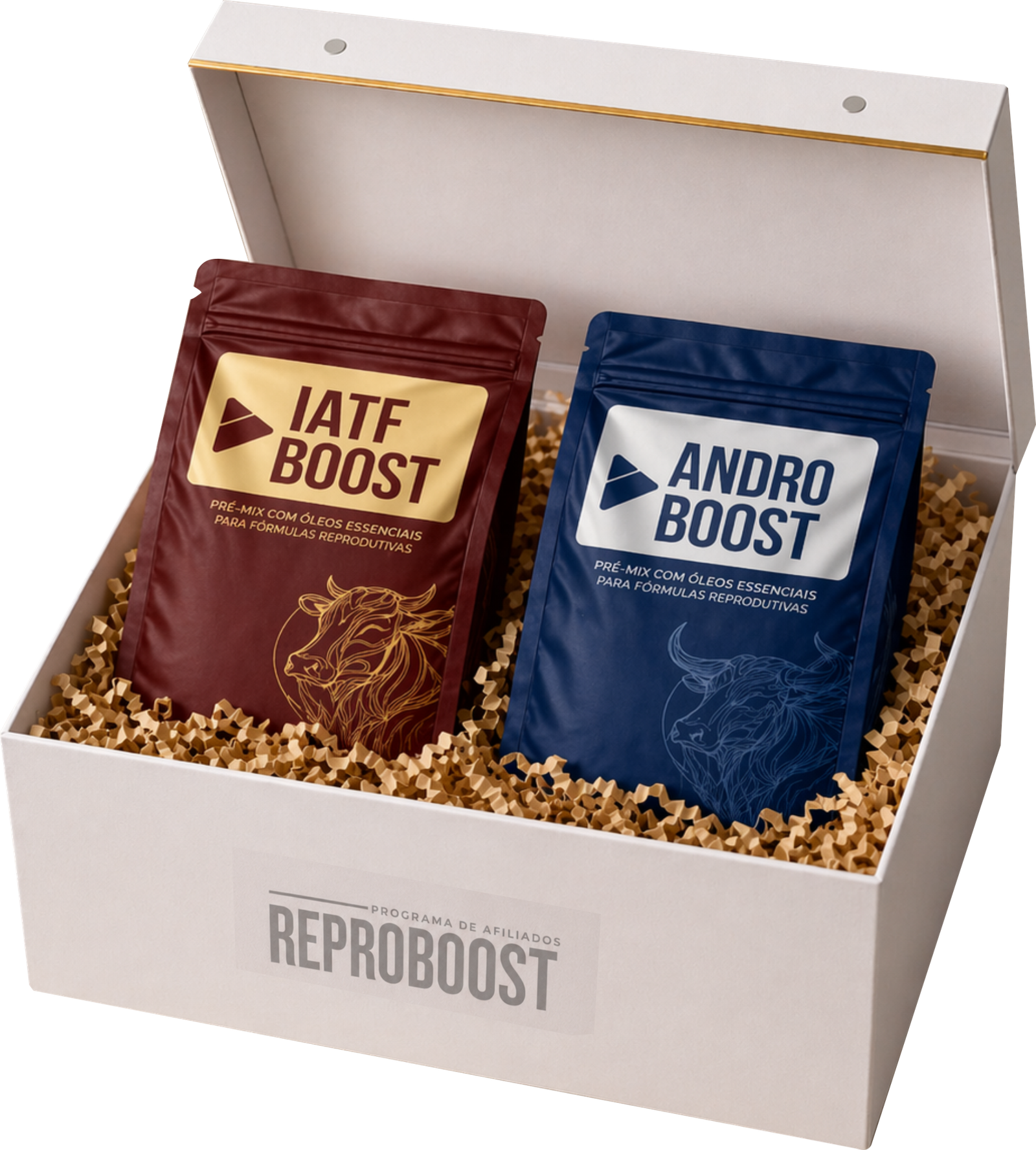 Kit oficial Reproboost com Andro Boost e IATF Boost